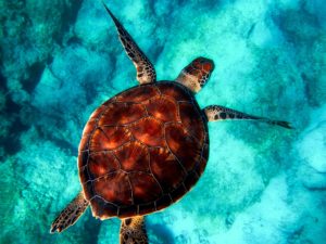初めてのスカイプコンサル!目からウロコの4つの気づきと変化