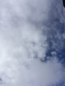 健康系の記事のアクセスどうなった?自分のアドセンス記事をチェックした結果!