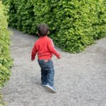 アドセンス外注化の必要性を感じる時!庭で迷子  私はどこ?ここは誰ー?