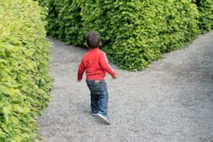 アドセンス外注化の必要性を感じる時!庭で迷子  私はどこ?ここは誰ー?