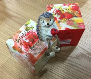 【あやvol.7】あなたにお礼が言いたいのにメルマガ送れないの？大失敗！