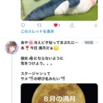 2週間棒にふって学んだ6つのこと スタージャンムーンに浦島あや太郎になったお話*失敗談シェア