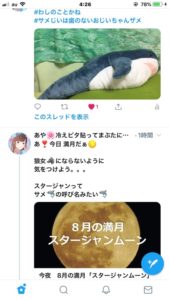 2週間棒にふって学んだ6つのこと スタージャンムーンに浦島あや太郎になったお話＊失敗談シェア