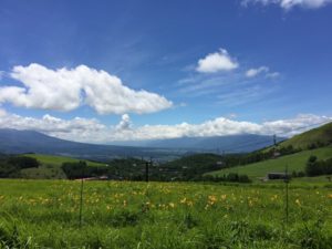 ステイホームだからおうちで高原気分をどうぞ〜♪